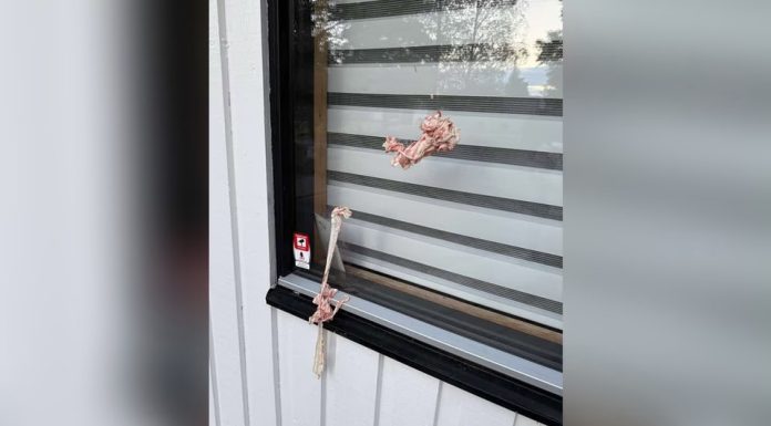Napadnut džemat Bošnjaka u Švedskoj: Grupa mladića bacila slaninu na objekat Napadnut džemat Bošnjaka u Švedskoj: Grupa mladića bacila slaninu na objekat - featured image