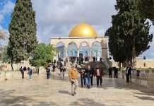 Saudijska Arabija iz školskih udžbenika uklonila rečenicu “Muslimani se nikad neće odreći Jerusalema” Saudijska Arabija iz školskih udžbenika uklonila rečenicu “Muslimani se nikad neće odreći Jerusalema” - featured image