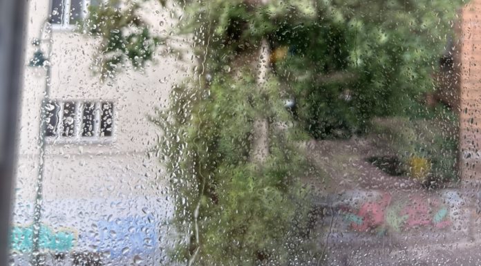 KIŠA OBRADOVALA DIJELOVE BOSNE I HERCEGOVINE: Nakon dove za kišu stiglo osvježenje KIŠA OBRADOVALA DIJELOVE BOSNE I HERCEGOVINE: Nakon dove za kišu stiglo osvježenje - featured image