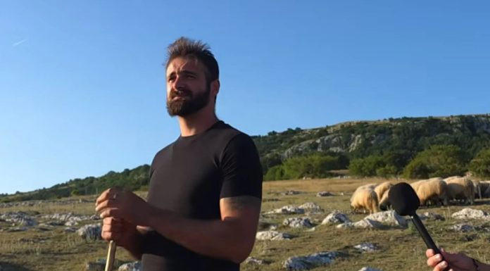 Vratio se iz Njemačke i kupio stado ovaca: Što sam imao više novca, bio sam nesretniji Vratio se iz Njemačke i kupio stado ovaca: Što sam imao više novca, bio sam nesretniji - featured image