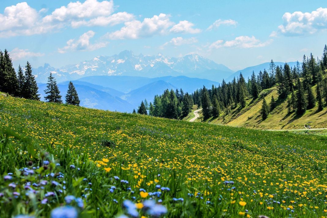 Kako možemo biti sretni dok su drugi među nama nesretni - featured image