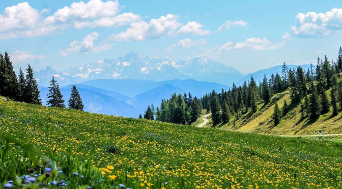 Kako možemo biti sretni dok su drugi među nama nesretni Kako možemo biti sretni dok su drugi među nama nesretni - featured image