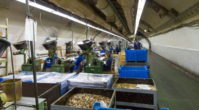 Prevara teška 780.000 eura: Evo kako je novac nestao s računa kompanije Igman Prevara teška 780.000 eura: Evo kako je novac nestao s računa kompanije Igman - featured image