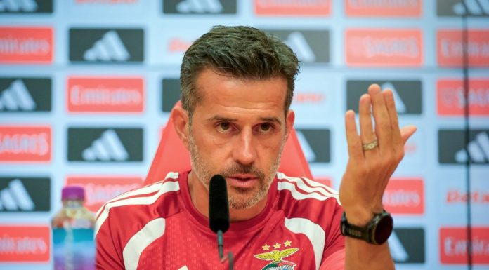 E, ovo treba zaslužiti! Velike riječi Marca Silve o Amaru Dediću su ono o čemu svi pričaju! E, ovo treba zaslužiti! Velike riječi Marca Silve o Amaru Dediću su ono o čemu svi pričaju! - featured image