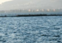 U Džehennem neće ući onaj kod koga se nađu ove tri stvari U Džehennem neće ući onaj kod koga se nađu ove tri stvari - featured image