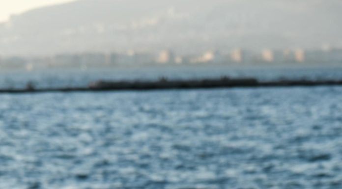 U Džehennem neće ući onaj kod koga se nađu ove tri stvari U Džehennem neće ući onaj kod koga se nađu ove tri stvari - featured image