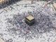 Muslimani su postali beznačajni u odnosu na druge narode, nakon što su okrenuli leđa islamu Muslimani su postali beznačajni u odnosu na druge narode, nakon što su okrenuli leđa islamu - featured image