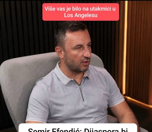 Semir Efendić: Dijaspora bi trebala doći iz EU da glasa na izborima – odvojite par dana i dođite