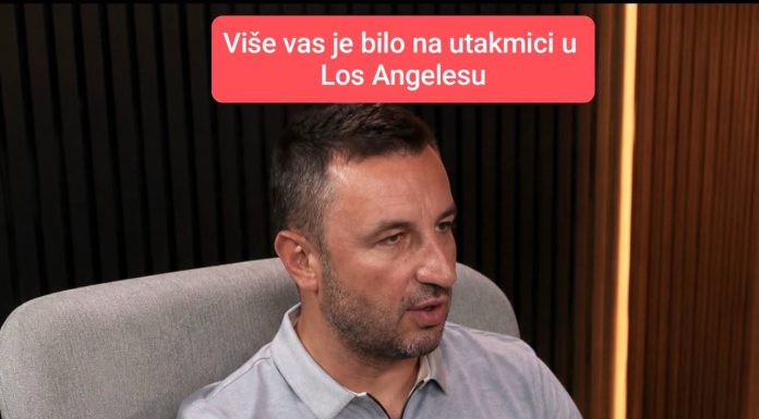 Semir Efendić: Dijaspora bi trebala doći iz EU da glasa na izborima – odvojite par dana i dođite
