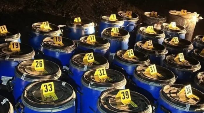 Poznat identitet uhapšenog u velikoj akciji “Bura”: Pronađena tona droge čija je vrijednost na ulici 60 miliona KM. Osumnjičeno više osoba, pomogla i OSA Poznat identitet uhapšenog u velikoj akciji "Bura": Pronađena tona droge čija je vrijednost na ulici 60 miliona KM. Osumnjičeno više osoba, pomogla i OSA - featured image