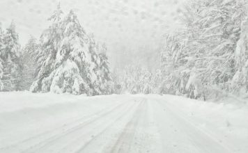 Meteorolog najavljuje prve pahulje! Poslije 28 stepeni, snijeg bi naredne sedmice mogao zabijeliti dijelove regiona Meteorolog najavljuje prve pahulje! Poslije 28 stepeni, snijeg bi naredne sedmice mogao zabijeliti dijelove regiona - featured image
