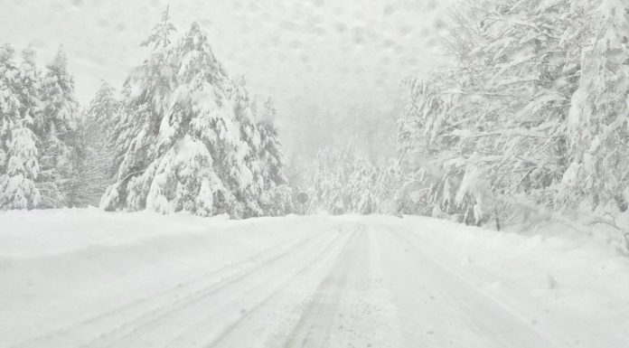 Meteorolog najavljuje prve pahulje! Poslije 28 stepeni, snijeg bi naredne sedmice mogao zabijeliti dijelove regiona Meteorolog najavljuje prve pahulje! Poslije 28 stepeni, snijeg bi naredne sedmice mogao zabijeliti dijelove regiona - featured image